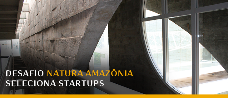 amozinia startups 730